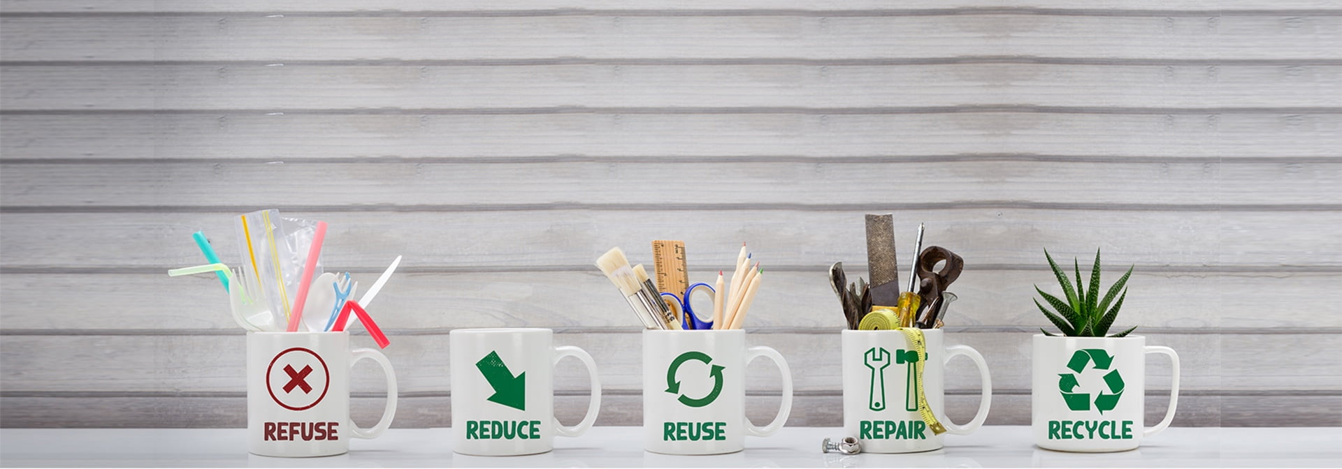 Image for How Do You Collect Waste at Home? A Complete Guide